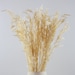 see more listings in the Dried Flowers section