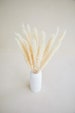 Small Pampas Grass (15 stems) 23” tall - Reed Bunch Wedding Flowers Home Decor Dried Florals Boho Rustic Gift Bridal Bouquet Wedding Favors 