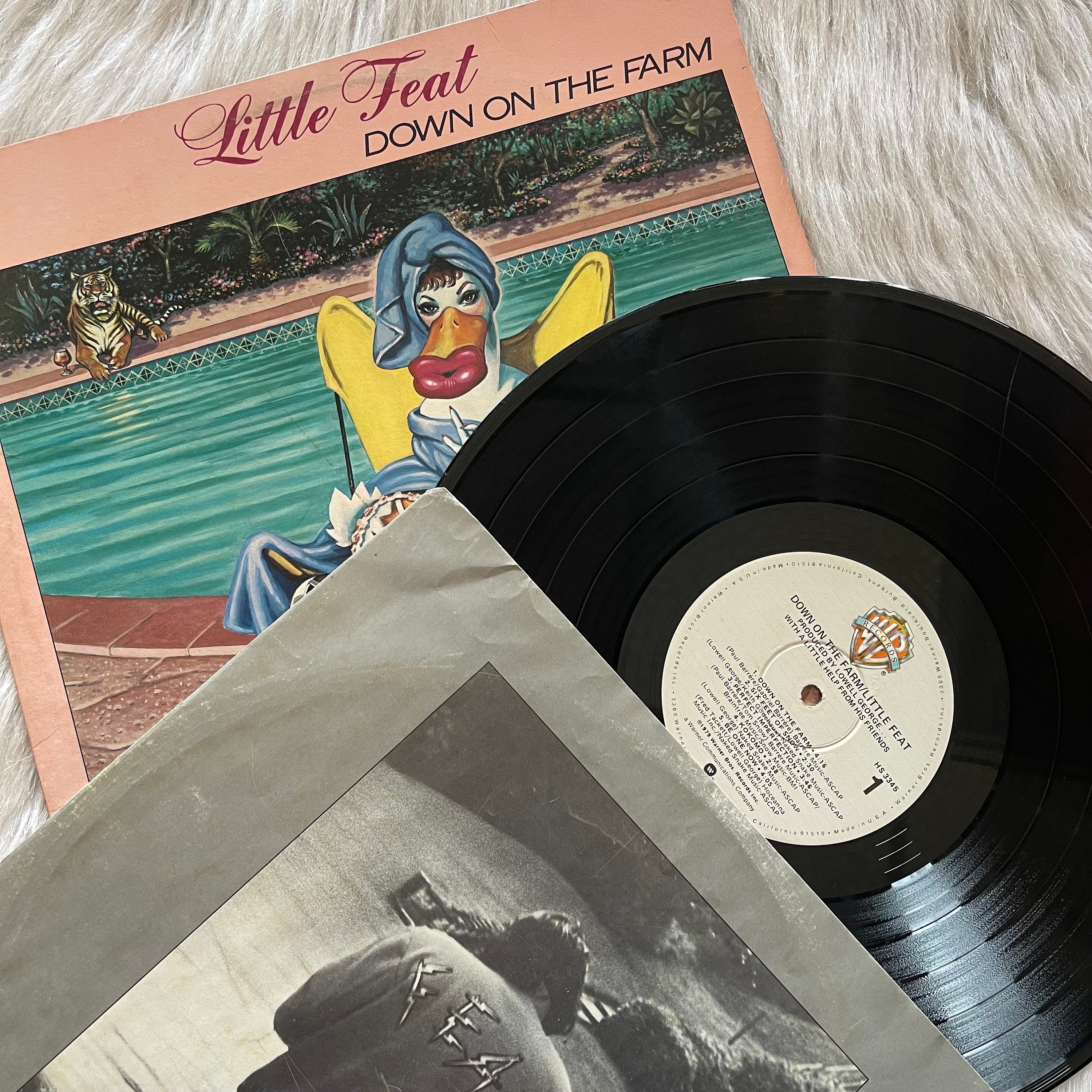 コレクション little feat neon park down on the farm Down On The Farm (Live in Oregon & California - December