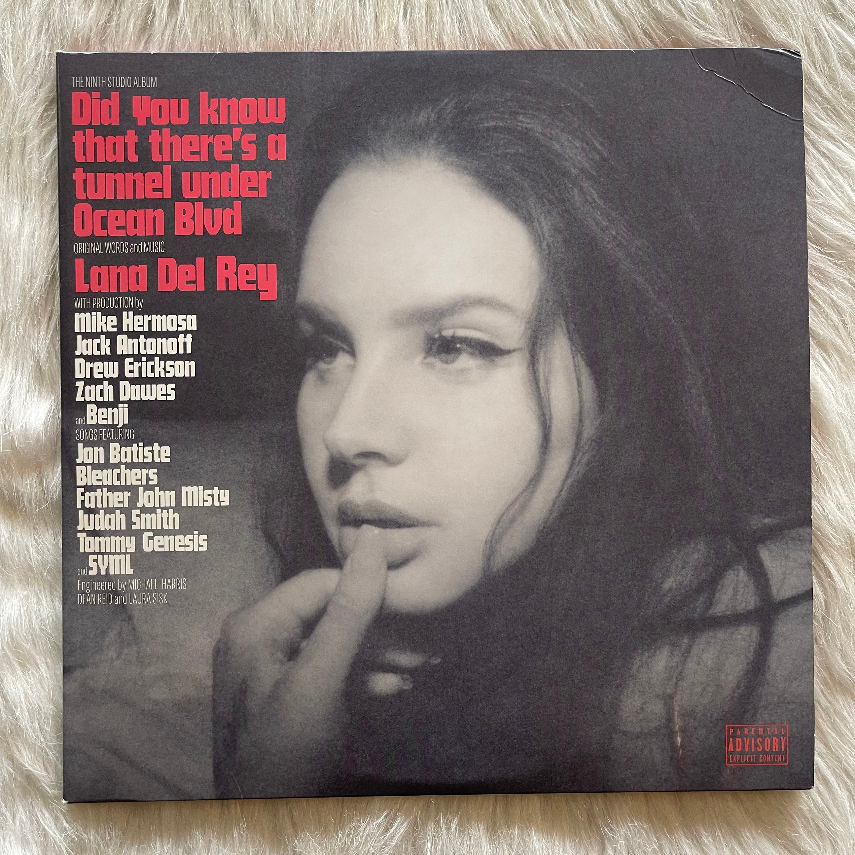 Lana Del Rey ラナデルレイ Did You Know レコード DEL REY,LANA - DID YOU KNOW THAT THERE'S TUNNEL UNDER OCEAN BLVD