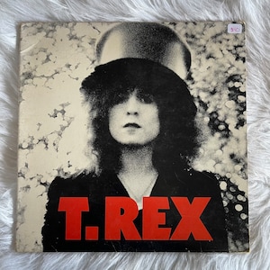 T.Rex: de schuifregelaar