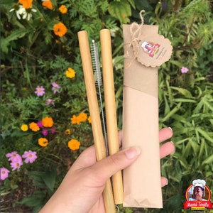 Buluh Bamboo Straws - Set of 2 w/Custom Sleeve - Worthy Picks