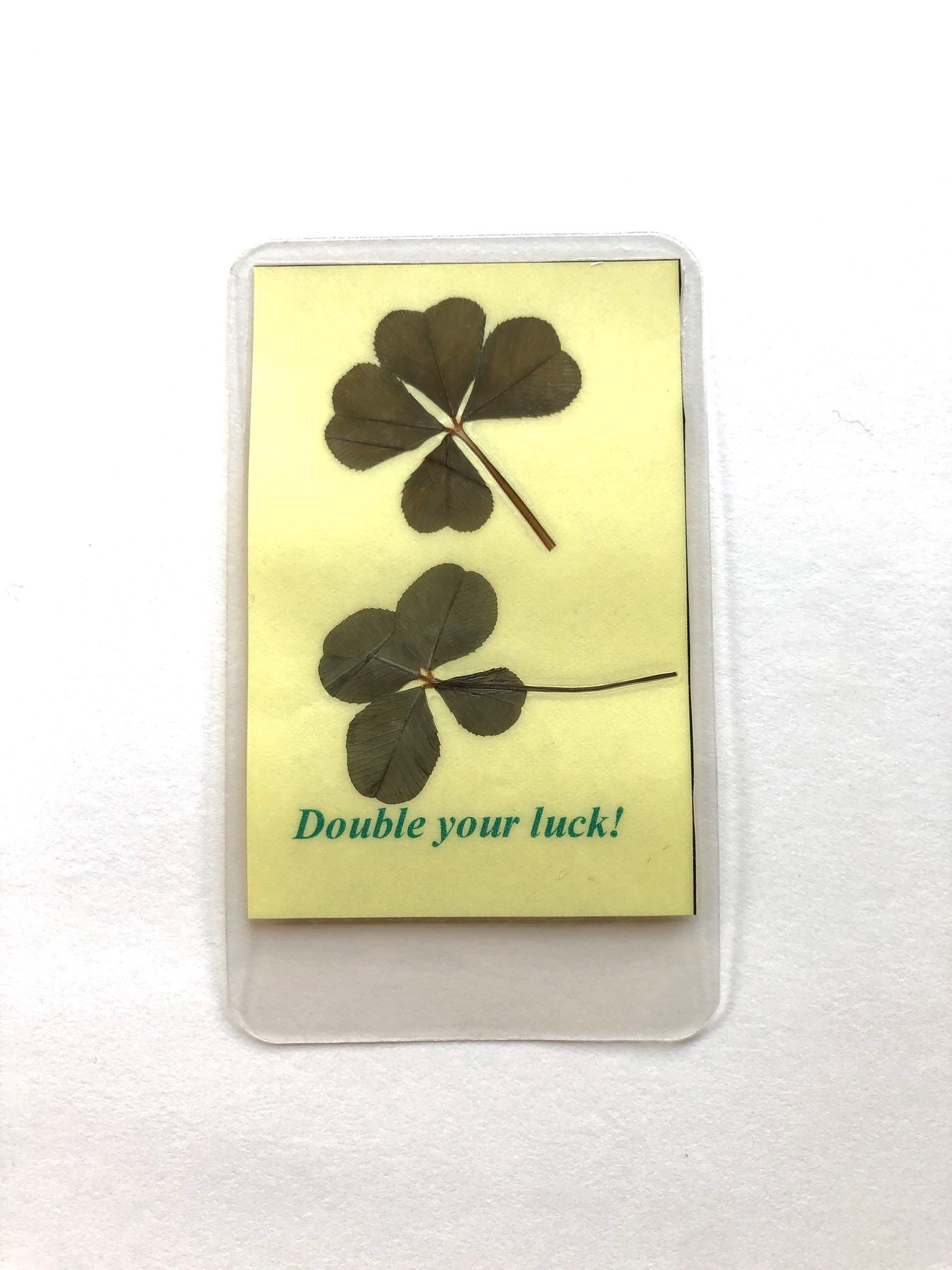 Real four leaf clovers 2 clovers per card Double Your Luck Etsy