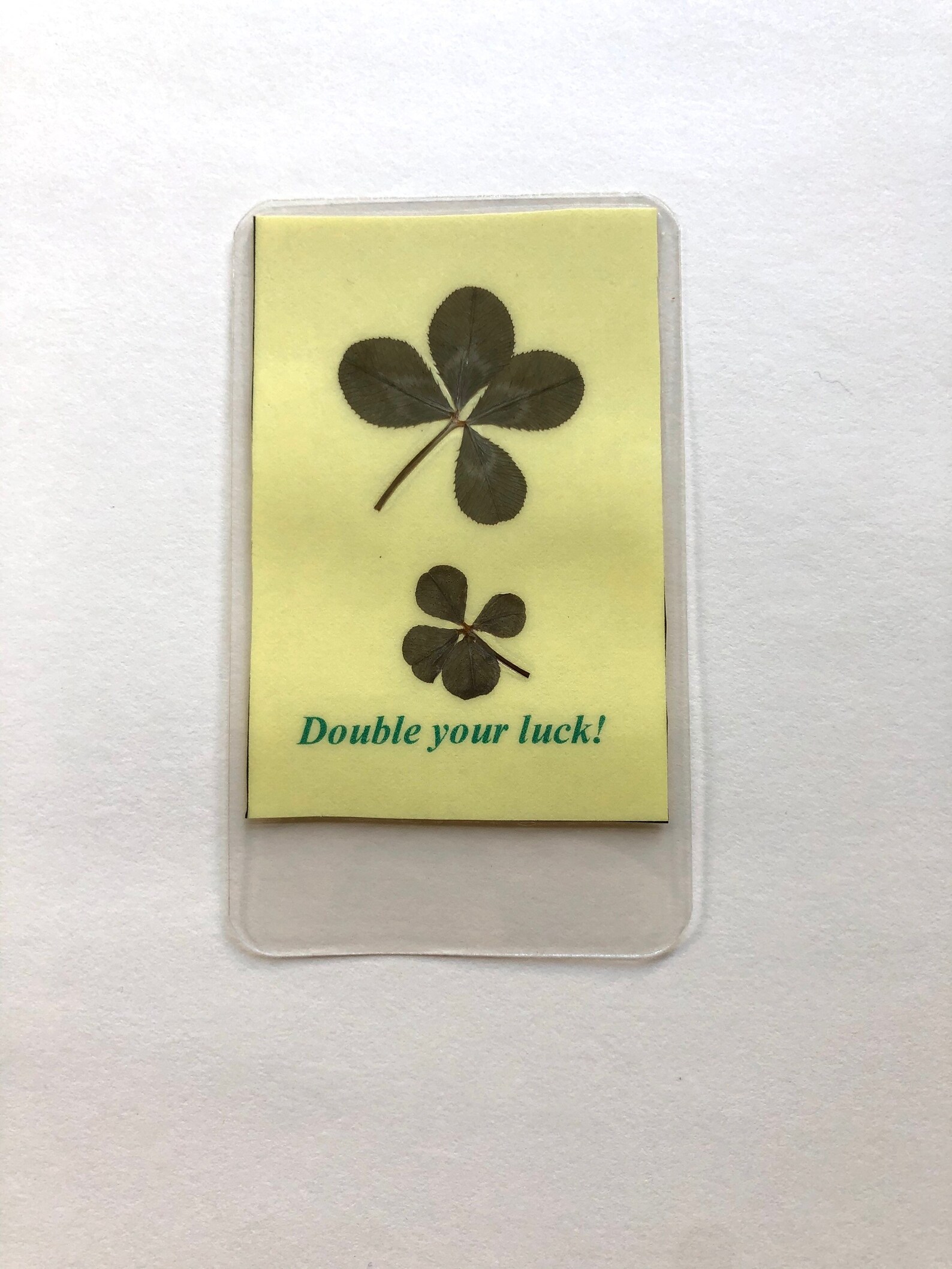 Real four leaf clovers 2 clovers per card Double Your Luck Etsy