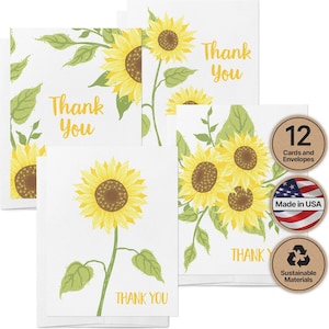 Sunflower Thank You Cards, Watercolor, Set of 12 with Envelopes, Blank Inside