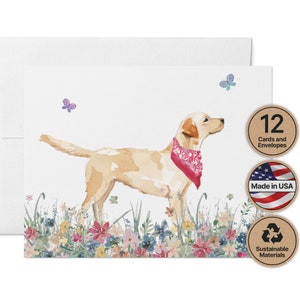 Labrador Retriever Note Cards - 12 Eco-Friendly Cards With Envelopes