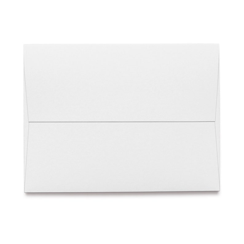 Sting Ray Note Card 24 12 1 or 48 Eco-Friendly Cards With Envelopes