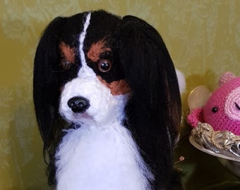 Jessie, the Cavalier King Charles Spaniel