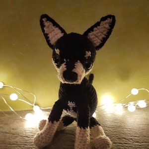 Crochet Pattern of tricolor Chihuahua