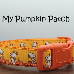 Quick Release Orange Dog Collar, 1960's Cartoon Beagle and Canary Dog Collar, Halloween New Puppy Collar, Big Dog Collar, My Pumpkin Patch
