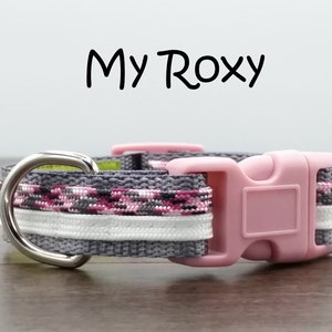 Op de afbeelding: Een grijze en roze hondenriem met een roze plastic gesp en een zilveren metalen D-ring. De riem heeft de tekst "My Roxy" erop gedrukt.