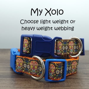 Op de afbeelding: Twee hondenhalsbanden met een blauwe en oranje gesp en een zilveren ring. De halsbanden zijn versierd met een kleurrijk schedel- en bloemenpatroon. De tekst "My Xolo" en "Choose light weight or heavy weight webbing" staat boven de halsbanden.