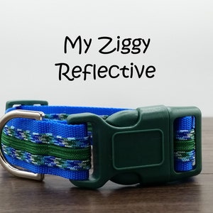 Reflective Dog Collar: Blue & Green, Adjustable, 1-Inch Wide