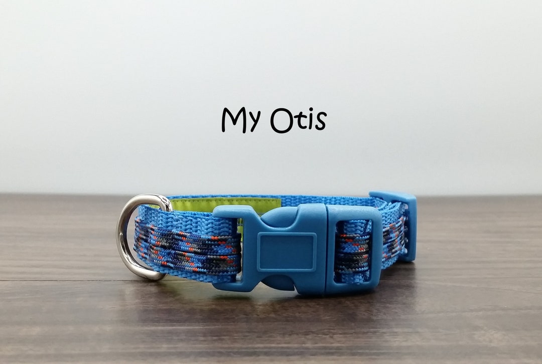 BASICS Adjustable Collar BLUE 1/2