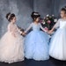 see more listings in the Flower Girl Dress section