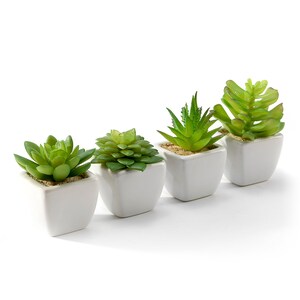 A Set of 4 Artificial Succulent Plants Potted in Cube-Shape White Ceramic Pots