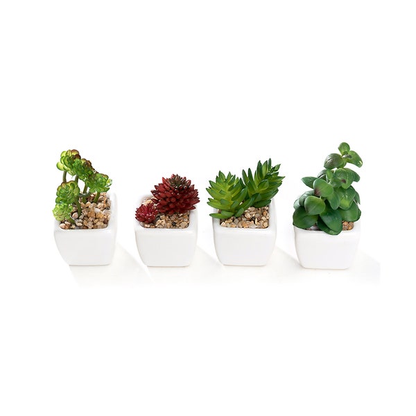 Set of 4 Different Mini Artificial Succulent Plants Potted in White or Black Cube-Shape Ceramic Pots