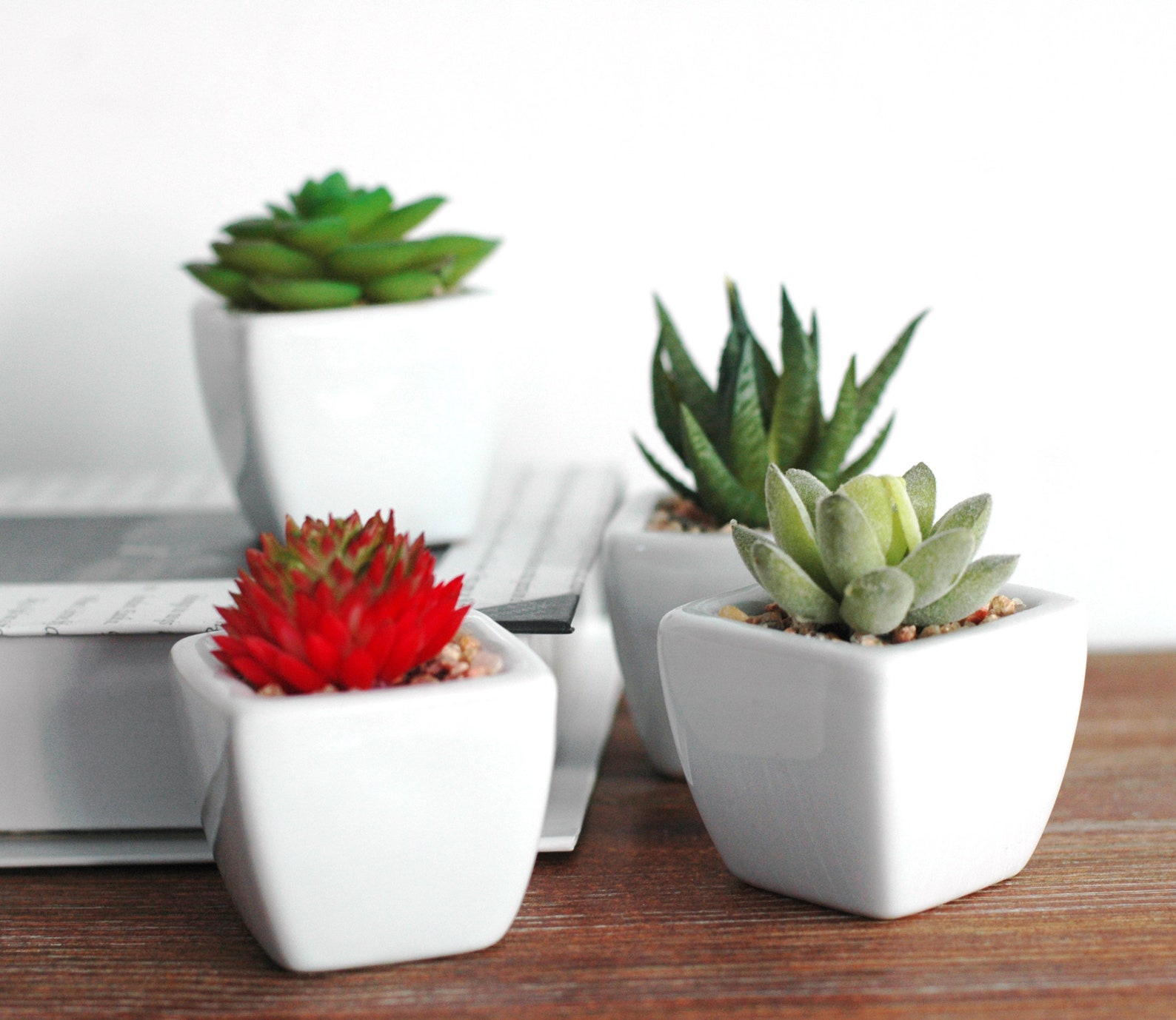 Conjunto de 4 mini plantas suculentas artificiales verdes Etsy