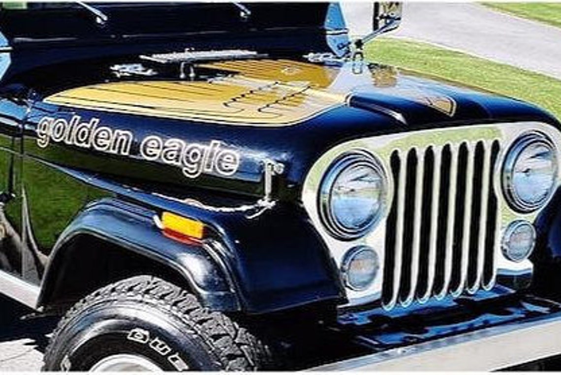 Golden Eagle Vinyl Decal Sticker Decal Etsy