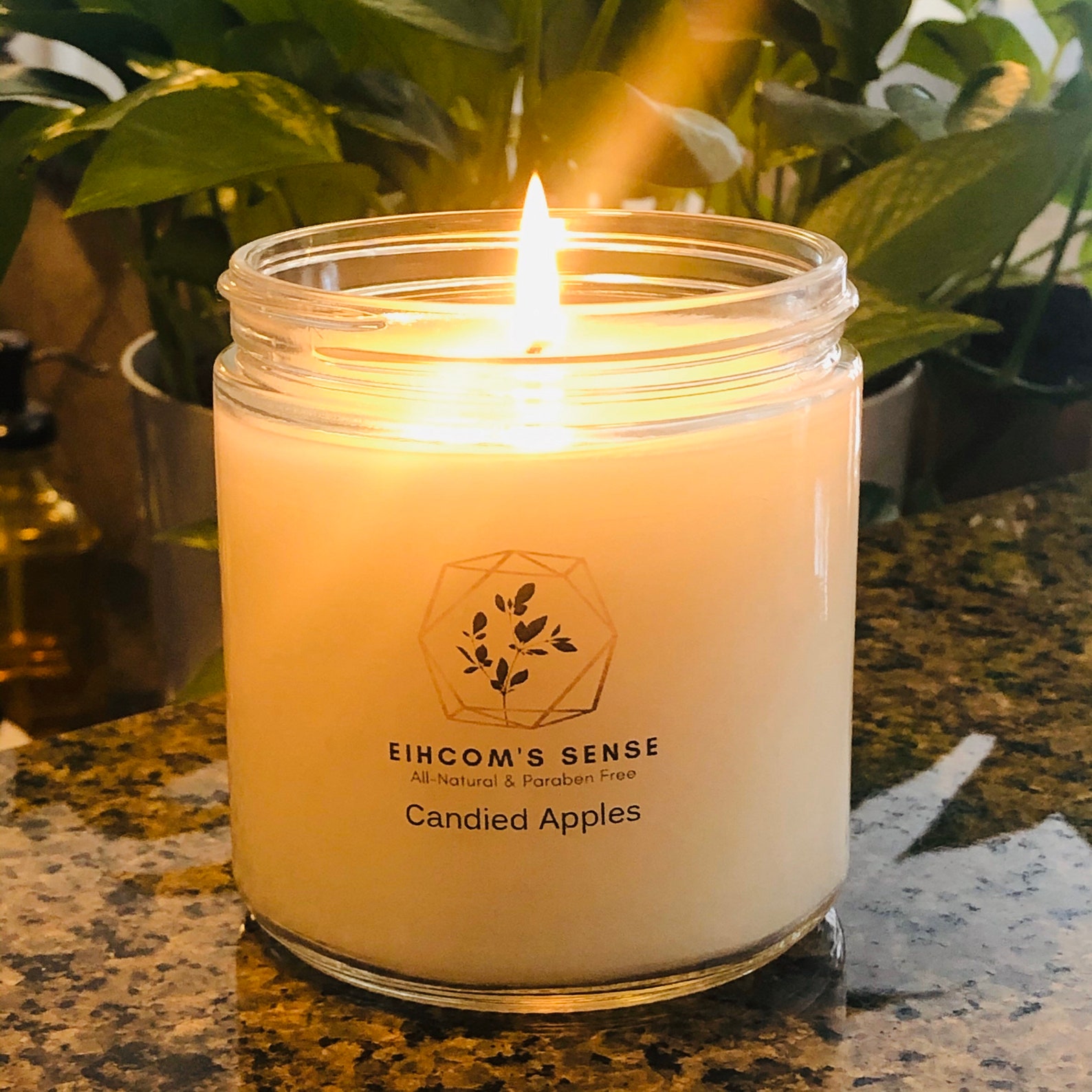 All Natural Fragrance Candles 8oz//12oz//16oz//Choose Your Etsy