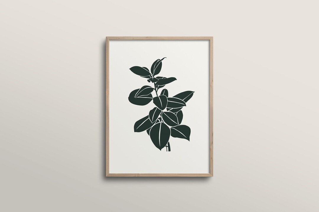 Rubber Tree Print | Botanical Illustration | Downloadable Illustration | Modern Art Print - Etsy