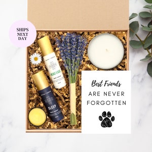 Pet Memorial Box | best friends are never forgotten | sorry for your loss | sympathy gift | sympathy care package | personalized card