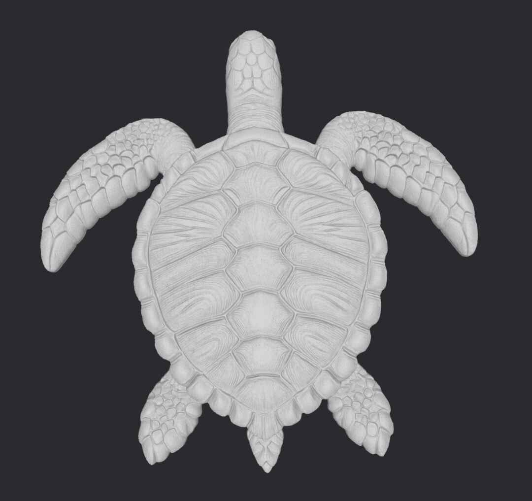 Sea Turtle STL File for CNC Carving & 3D Printing | Detailed Marine 3D ...