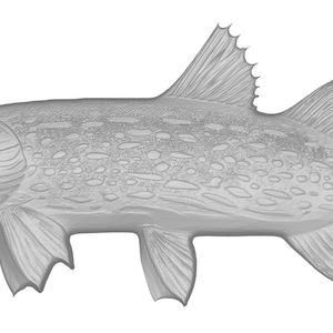 May include: A detailed line drawing of a gray pike fish with a textured, scaly body. The fish is facing left and has a long, pointed snout.