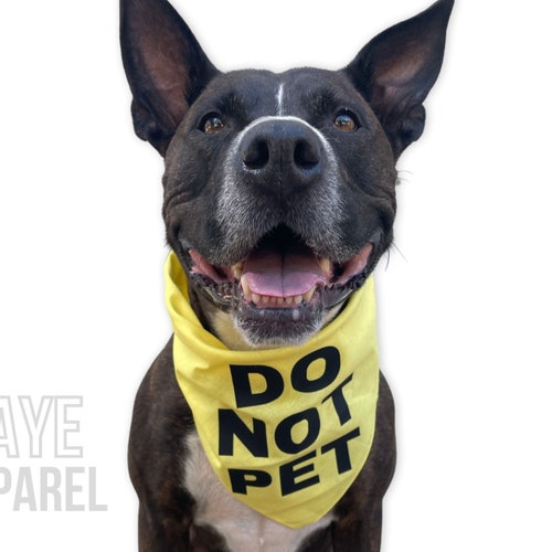 Do Not Pet Dog Bandana Caution Dog Bandana Triangle Dog Etsy
