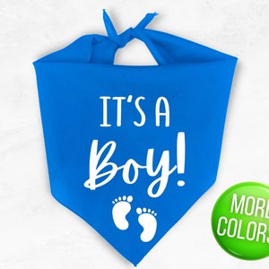 Es un niño perro Bandana - Género Revelar Perro Bandana - Niño Género Revelar - Perro Género Revelar - Niño Embarazo Anuncio Triángulo Perro Bandana
