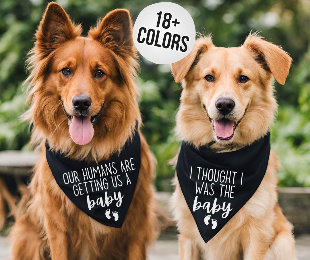 Pregnancy Announcement Dog Bandanas Our Humans Are Getting Us A Baby Dog Bandana I Thought I