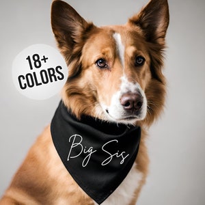 Big Sis Dog Bandana - Baby Announcement with Dog Bandana - Pregnancy Announcement for Dog Sister - Pregnancy Reveal Dog Bandana - Big Sister