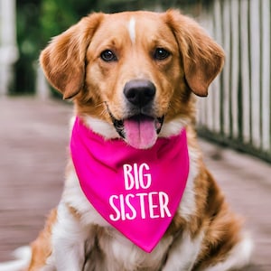 Big Sister Dog Bandana - Pregnancy Announcement for Dog Sister - Pregnancy Reveal Dog Bandana - Baby Reveal Dog - Puppy Announcement