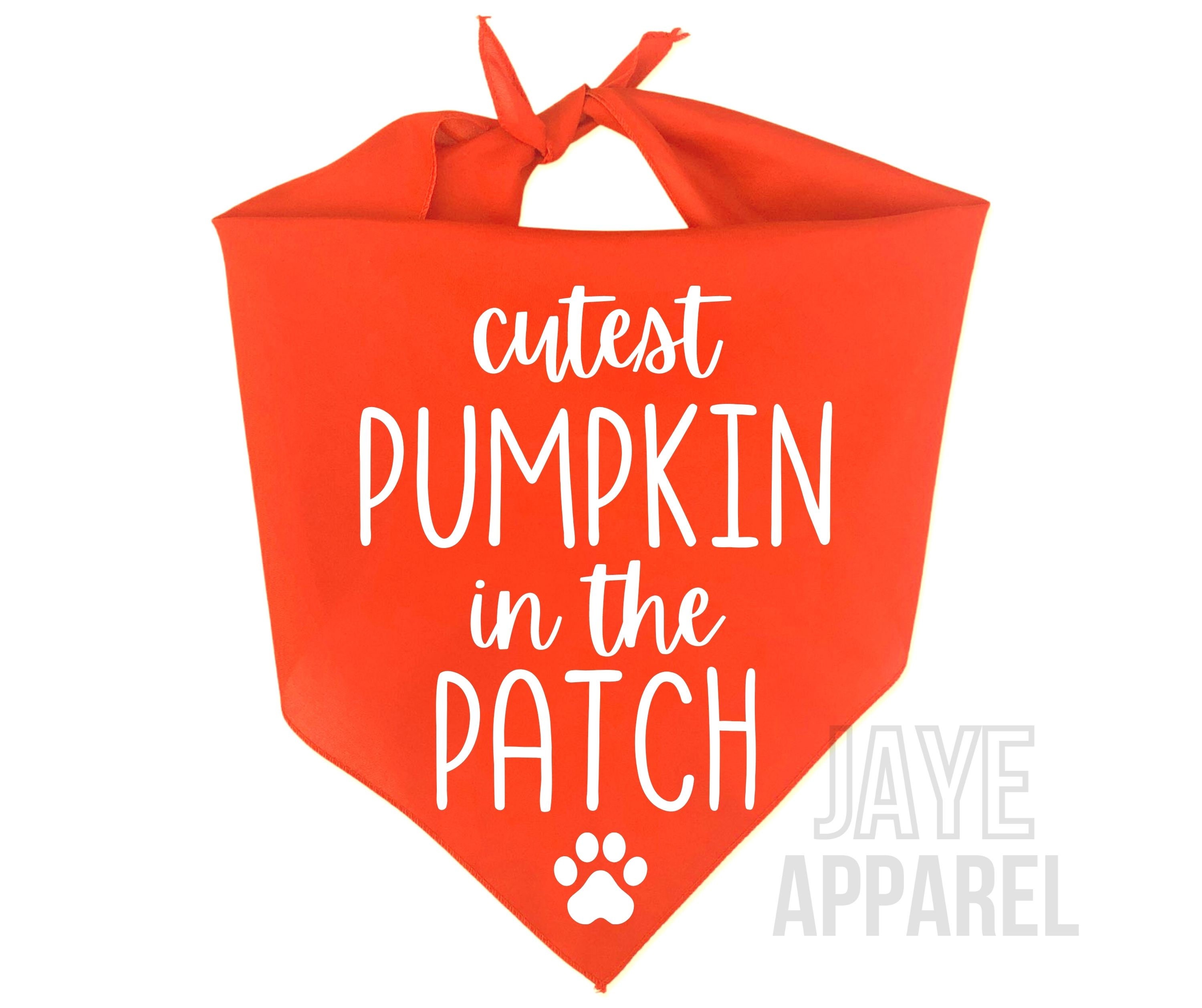 Cutest Pumpkin in the Patch Dog Bandana Fall Dog Bandana Etsy