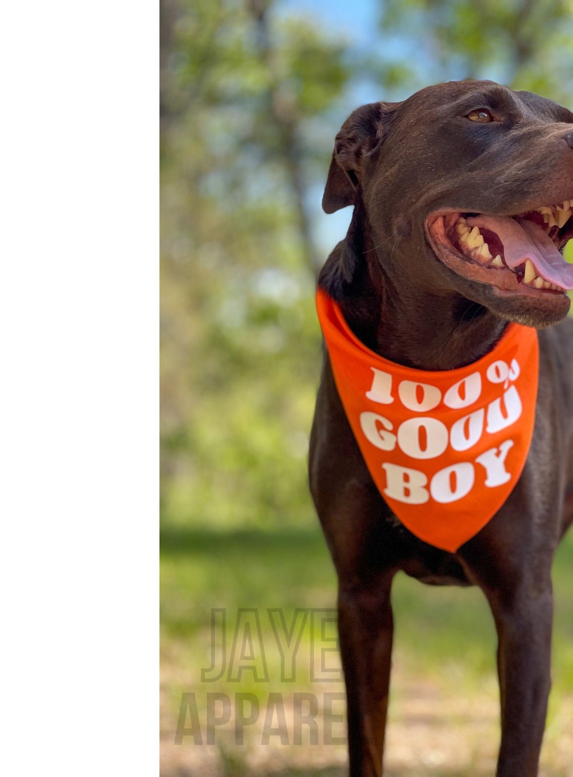 100 Good Boy Dog Bandana Bandana for Boy Dog Triangle Dog Etsy