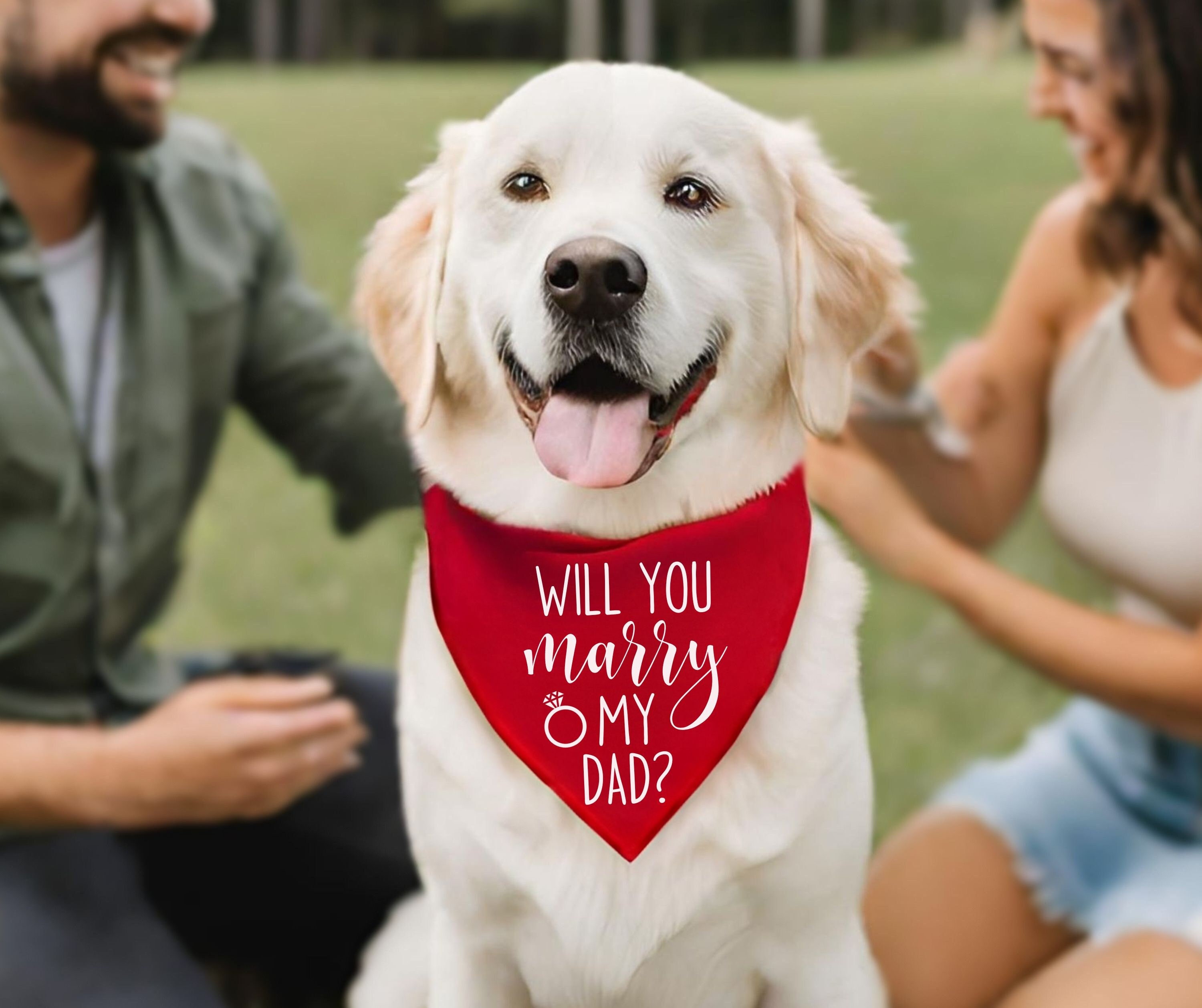 Bandana Magia para Pet - BenDog - Seu Pet Estiloso