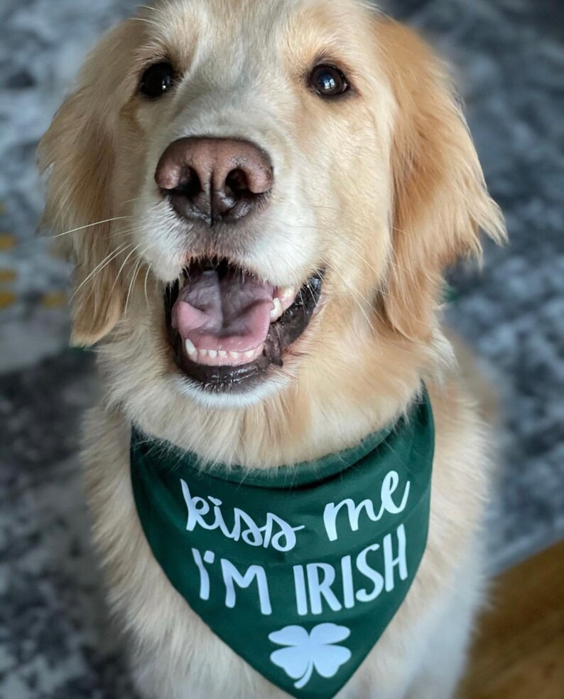 Kiss Me I'm Irish Dog Bandana St Patrick's Day Dog Etsy