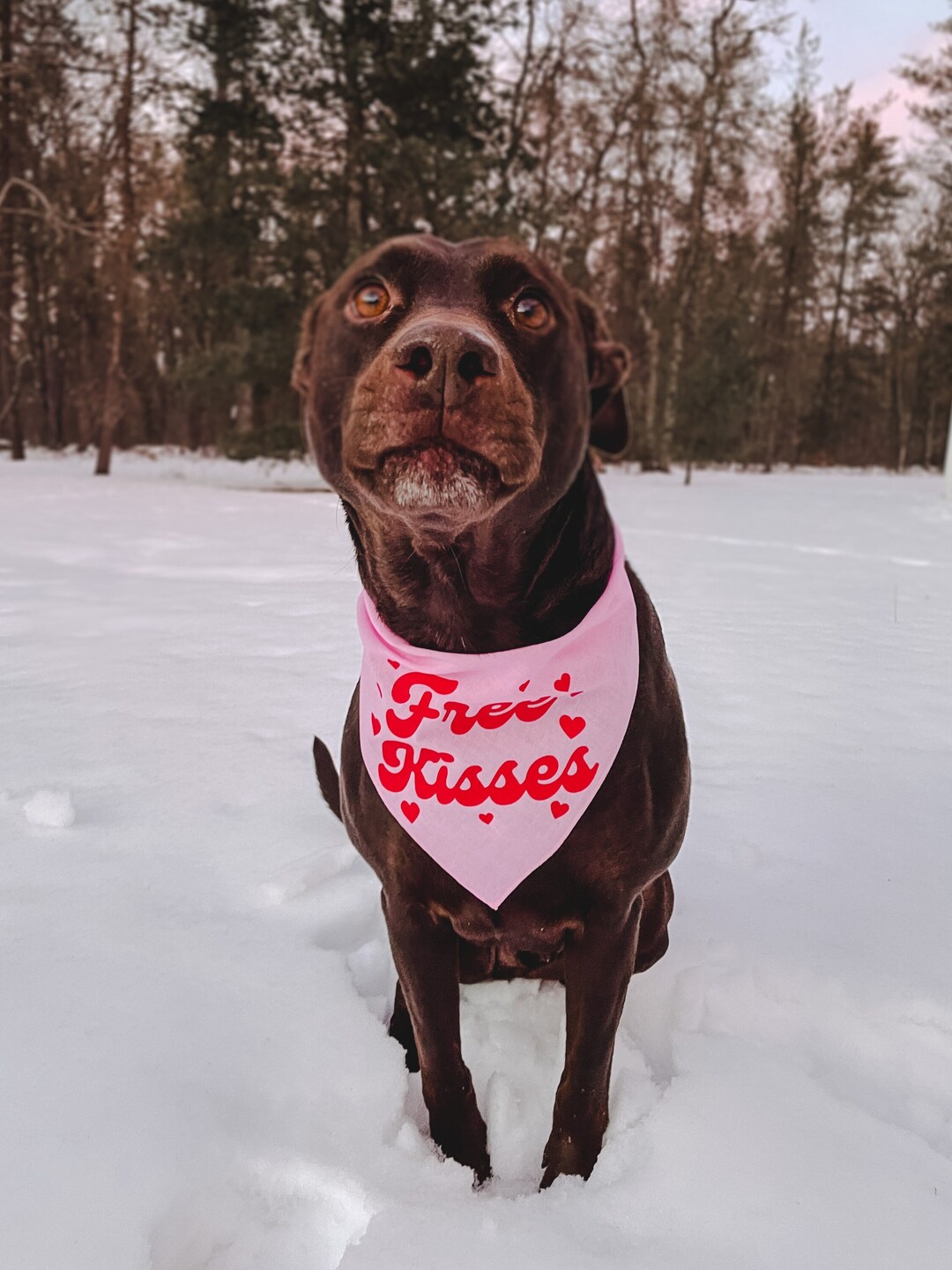 Free Kisses Dog Bandana Valentine's Day Dog Bandana Etsy