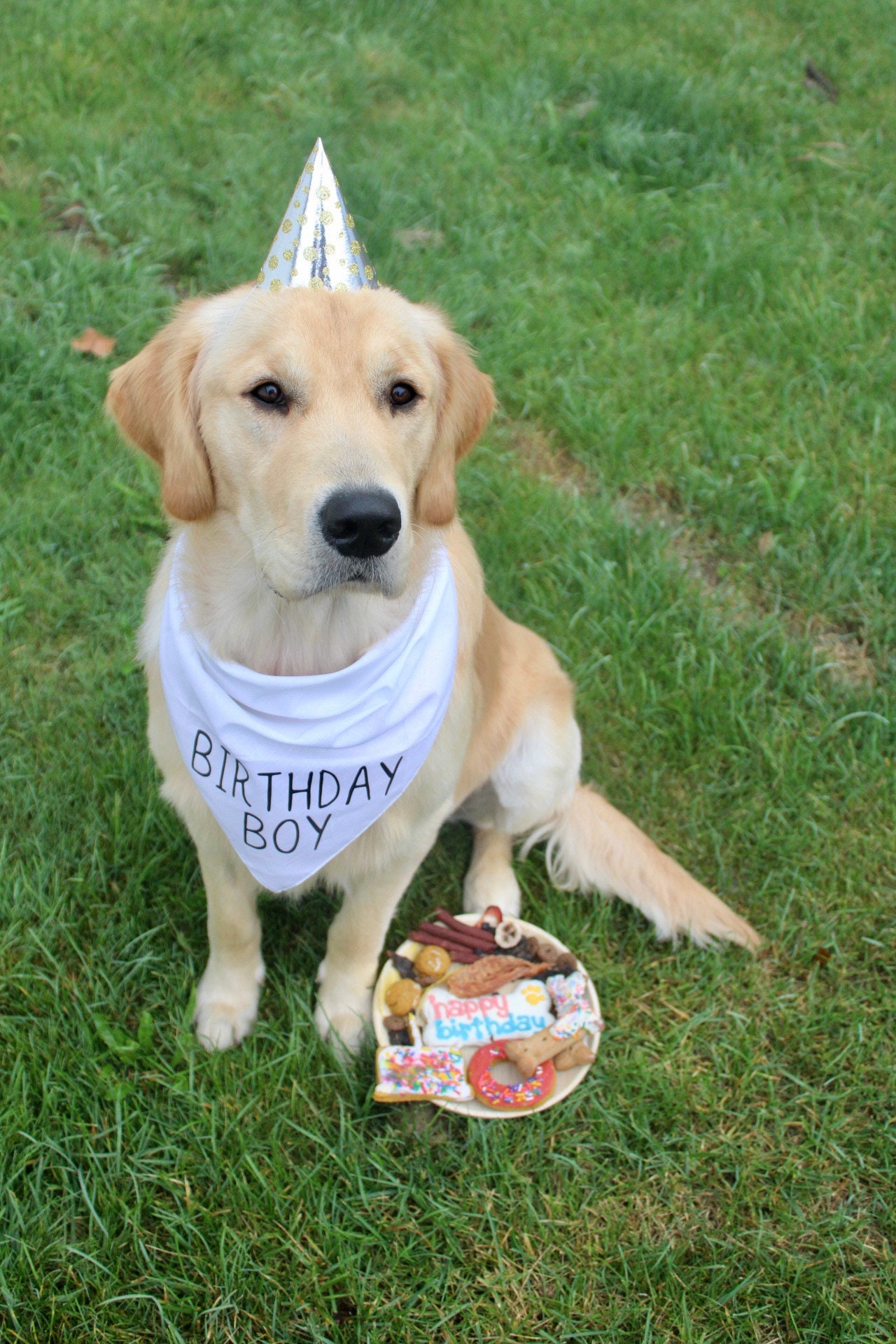 Dog Birthday Bandana Birthday Boy Bandana Birthday Girl Etsy