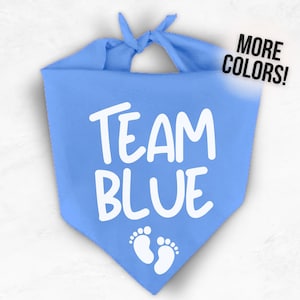 Equipo Azul Bandana - Género Revelar Perro Bandana - Equipo Rosa Bandana - Equipo Chico Equipo Chica Bandanas -Perro Género Revelar Género Revelar Decoraciones