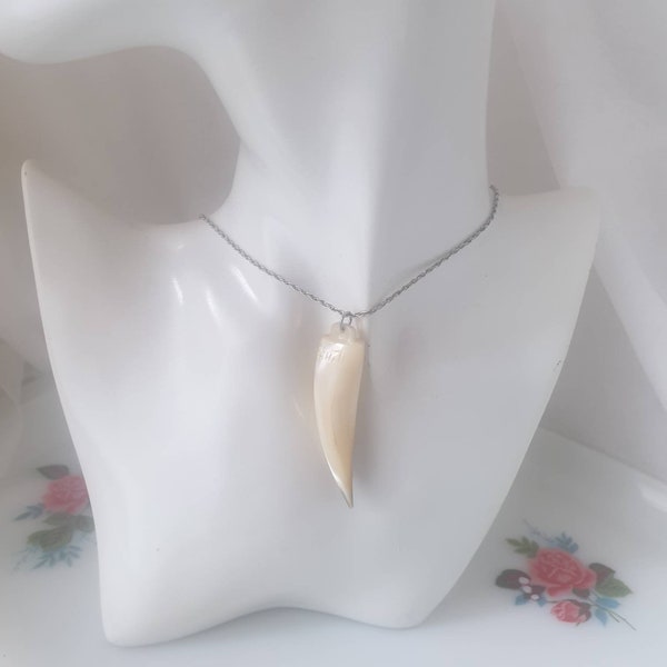Vintage Tahiti Tooth Necklace, Tooth Necklace Sterling Silver Chain, Tahiti Jewelry, Shark Tooth Necklace Signed
