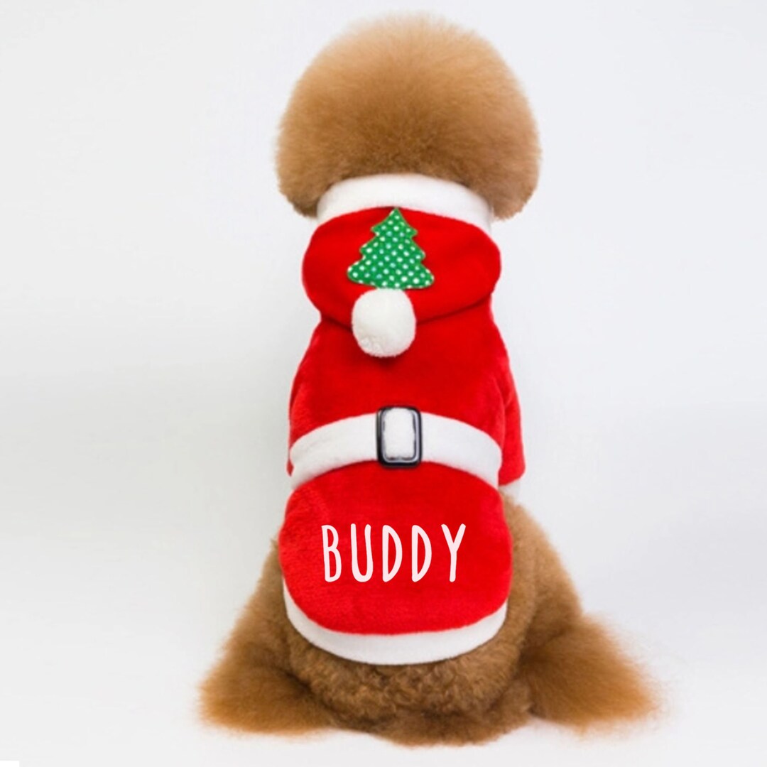 Pet Santa Suit, Dog Christmas Costume, Custom Pet Name, Dog Christmas