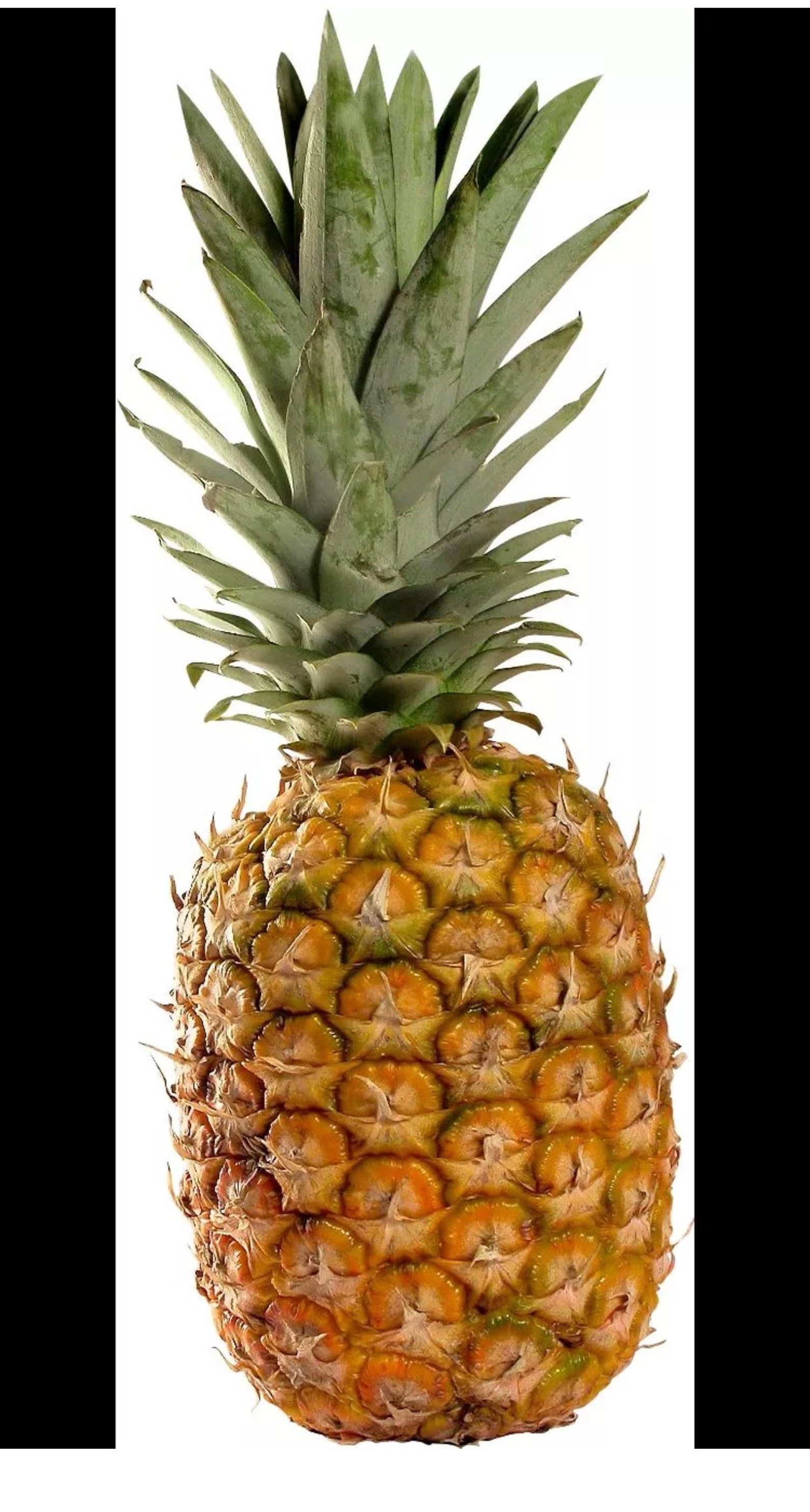 2 Pineapple Plants Crowns Ready and Easy to Grow Name 2 Maui Etsy