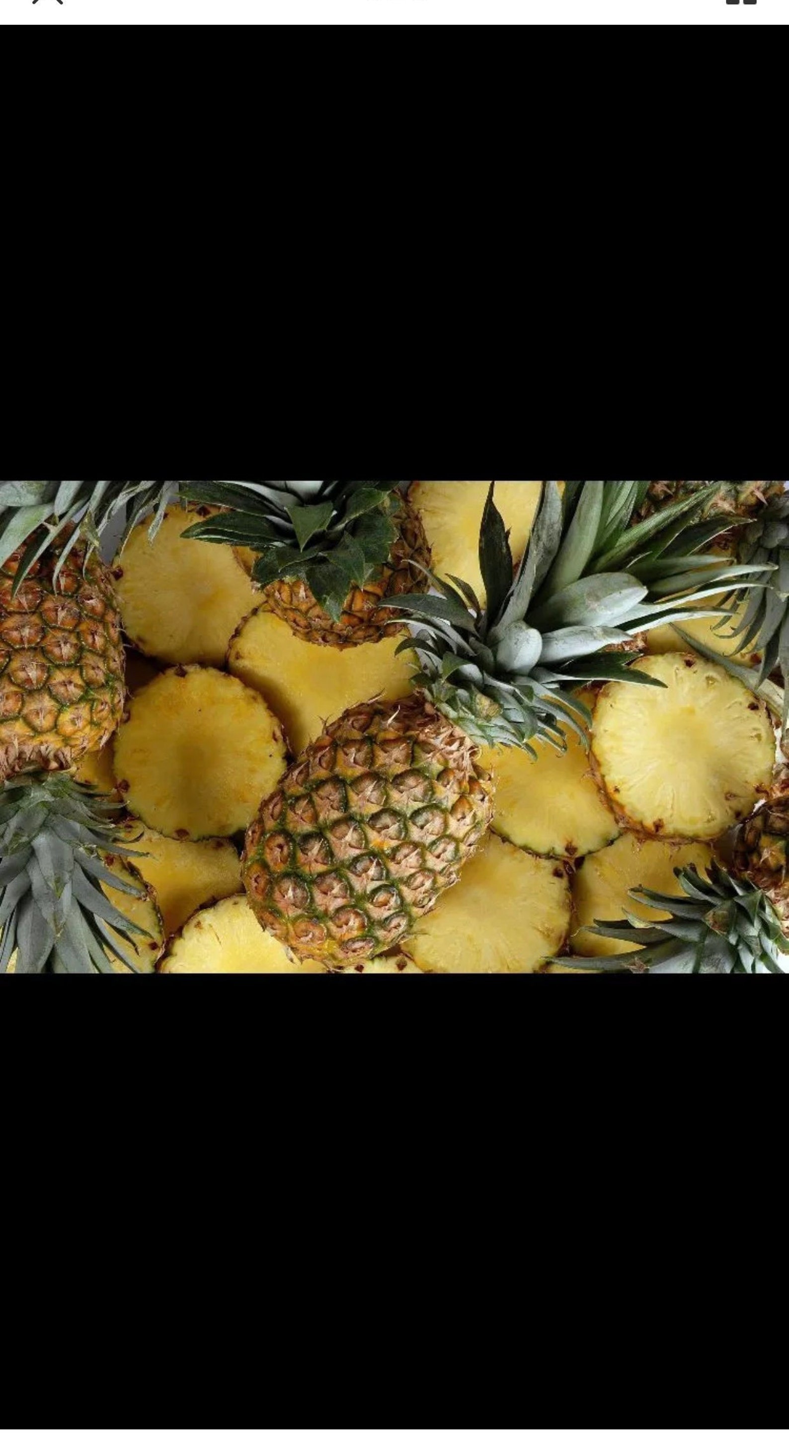 2 Pineapple plants crowns ready and easy to grow Name 2 Maui Etsy