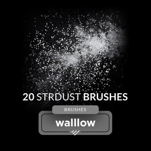 May include: A black and white image of a white cloud of stardust on a black background. The text "20 STRDUST BRUSHES" is below the cloud. A gray rectangle with the text "BRUSHES" and "wallow" is below the text.