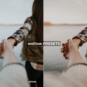 Gold Brown Desktop & Mobile Lightroom Presets