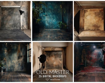 Old Master Vintage Studio Maternity Digital Backdrop Photography Background Portrait studio backdrop Grunge background Fine art texture JPG