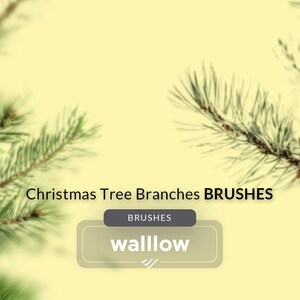 Christmas Tree Branches Photoshop Brushes | Holiday Greenery Digital Stamps | Festive Evergreen Clipart Photoshop brush | Instant download