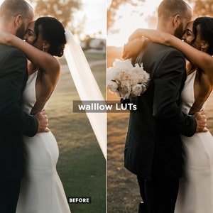 Gold LUTs | 10 Golden Video editing LUTs | LUTs for premiere pro, LUTs for Final Cut Pro  | Video presets for DaVinci | Top Golden hour LUTs
