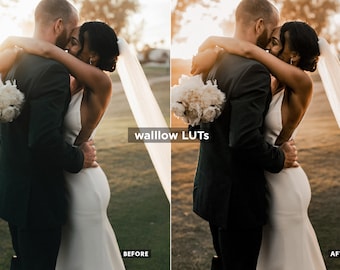 LUTs doradas / 10 LUTs doradas para edición de vídeo / LUTs para Premiere Pro, LUTs para Final Cut Pro / Presets de vídeo para DaVinci Resolve / Las mejores LUTs para la hora dorada